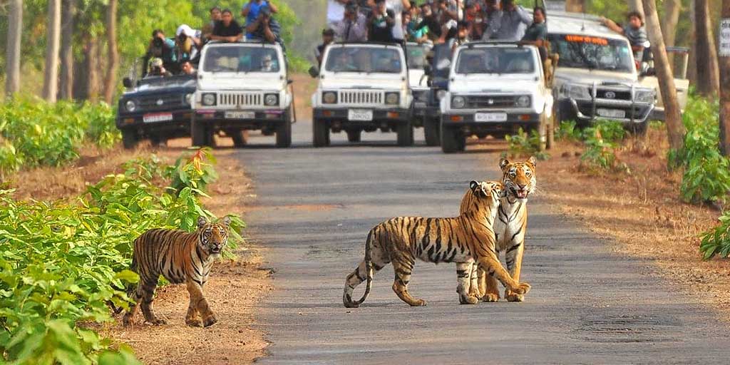 Jim Corbett National Park landscape