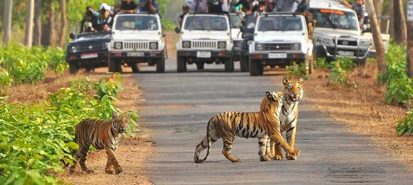 Jim Corbett National Park landscape