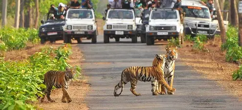 Jim Corbett landscape