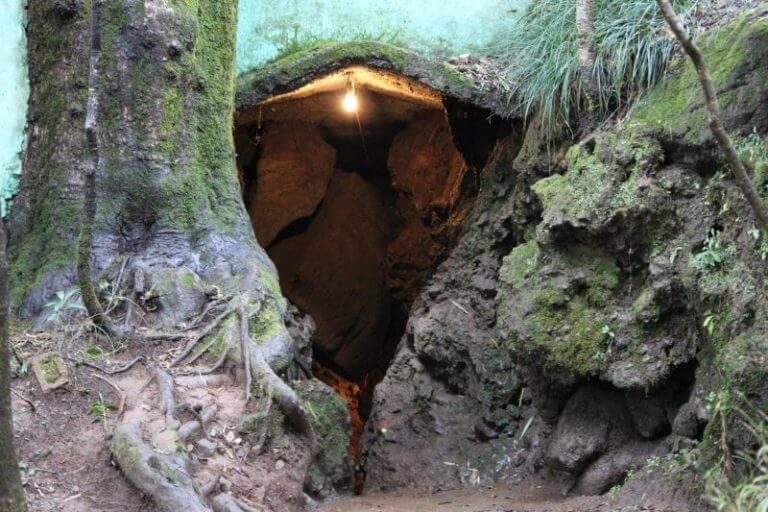 Eco Cave Garden Nainital